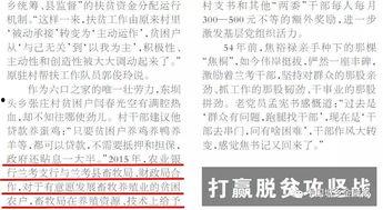 兰考头条新闻中考,高考成绩斐然
